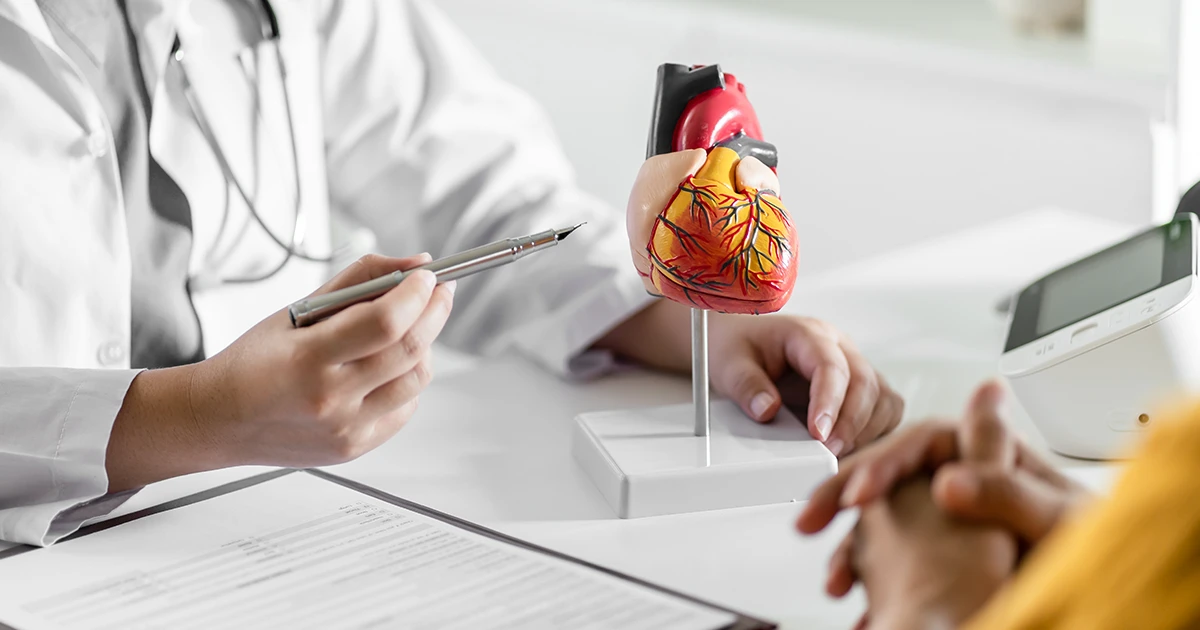 Profissional aponta modelo anatômico de coração durante consulta de avaliação cardiovascular